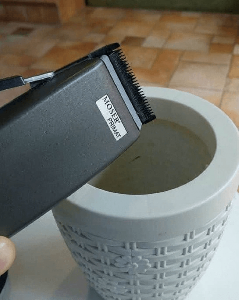 ΠΡΠΈΡΡΠΊΠ° ΠΌΠ°ΡΠΈΠ½ΠΊΠΈ