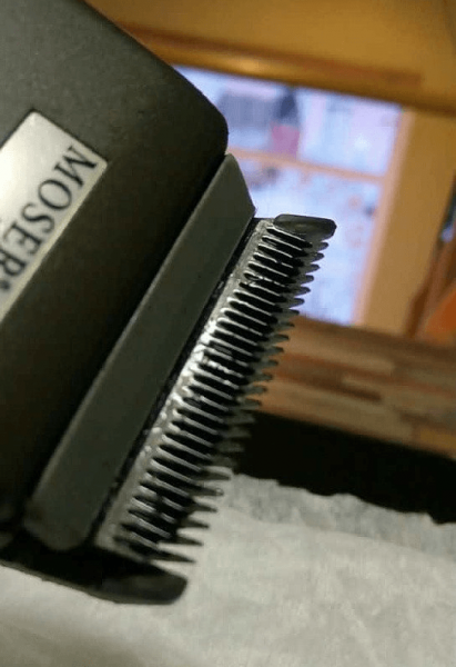 ΠΡΠΈΡΠ΅Π½Π½ΡΠ΅ Π½ΠΎΠΆΠΈ