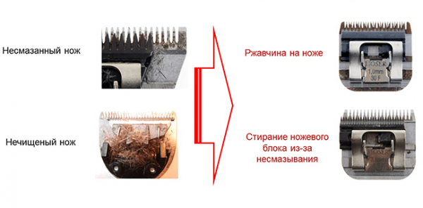 ΠΠ΅ΠΈΡΠΏΡΠ°Π²Π½ΠΎΡΡΠΈ Π½ΠΎΠΆΠ΅ΠΉ