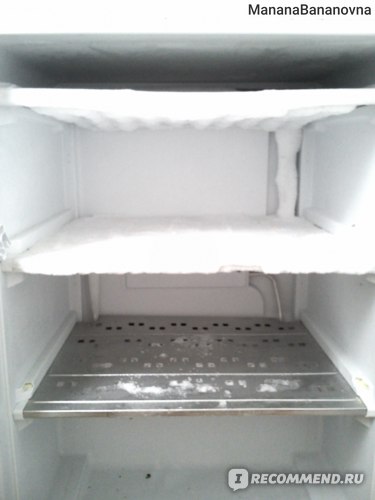 Двухкамерный холодильник BEKO CSA 30010 фото
