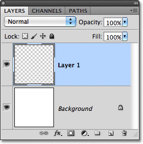 A new layer has been added to the document. 