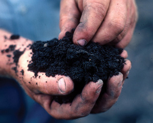 hands-holding-soil