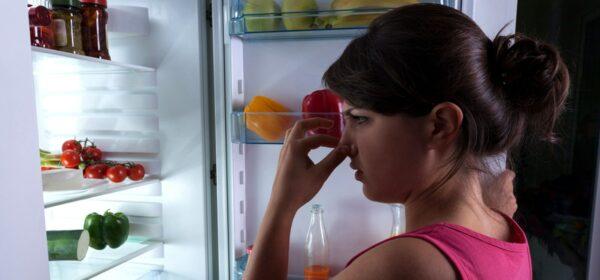 Плохой запах из холодильника