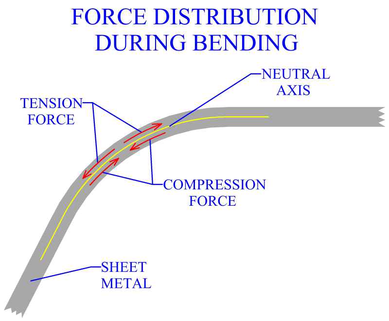 Force Distribution During Bending